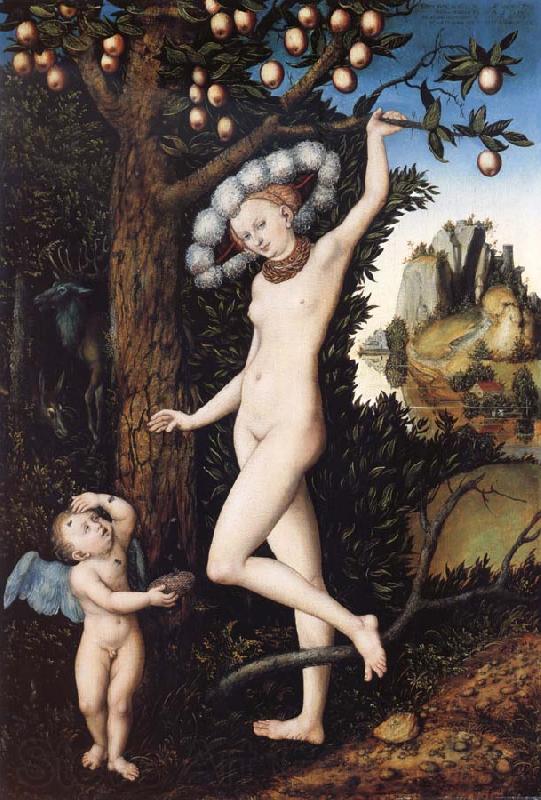 CRANACH, Lucas the Elder Venus and Cupid Norge oil painting art